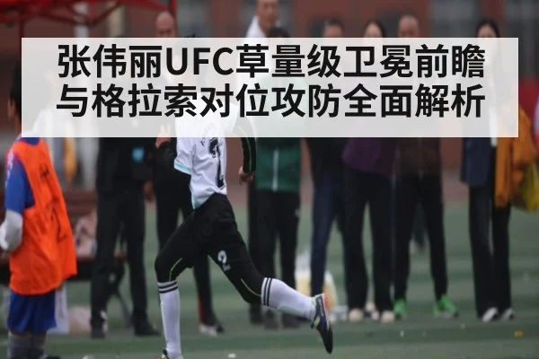 张伟丽UFC草量级卫冕前瞻 与格拉索对位攻防全面解析